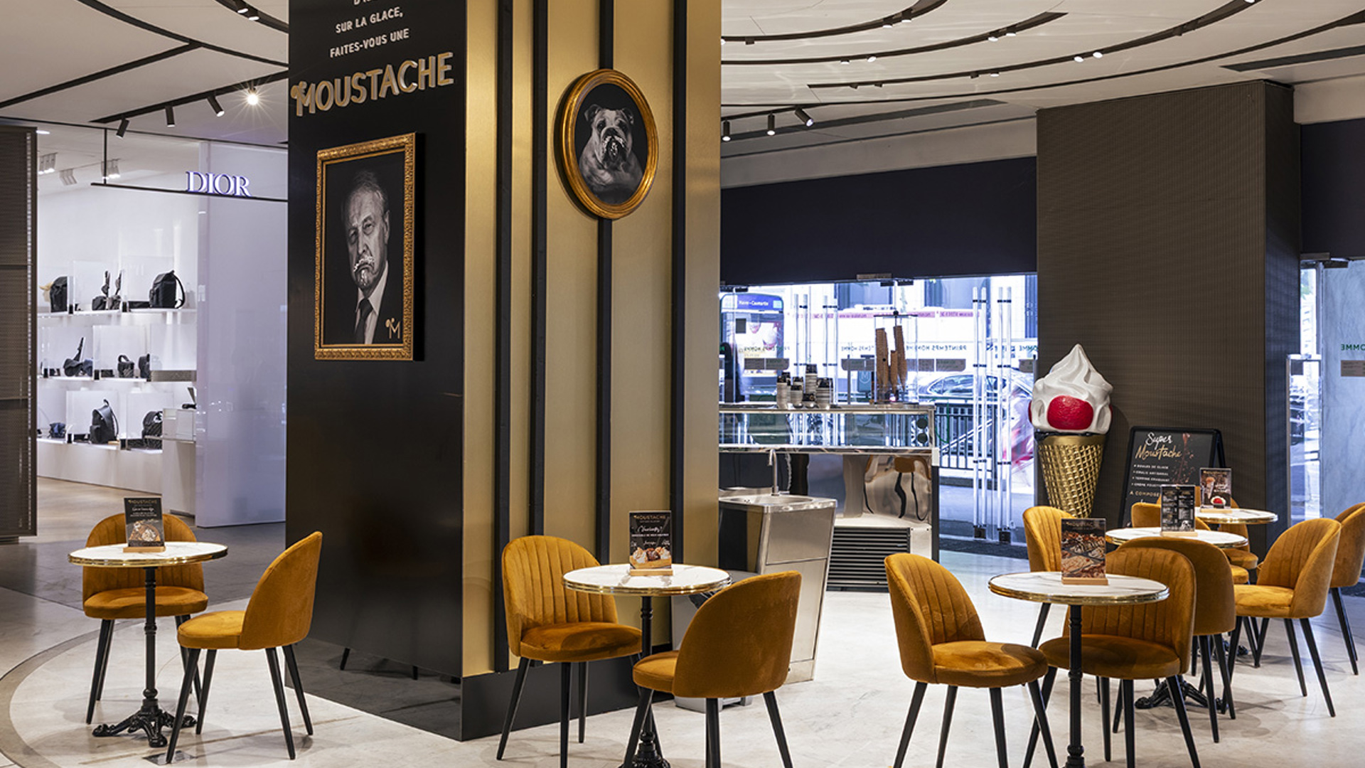 False ?  : Moustache Photo 8