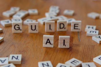 VDL Guide AI