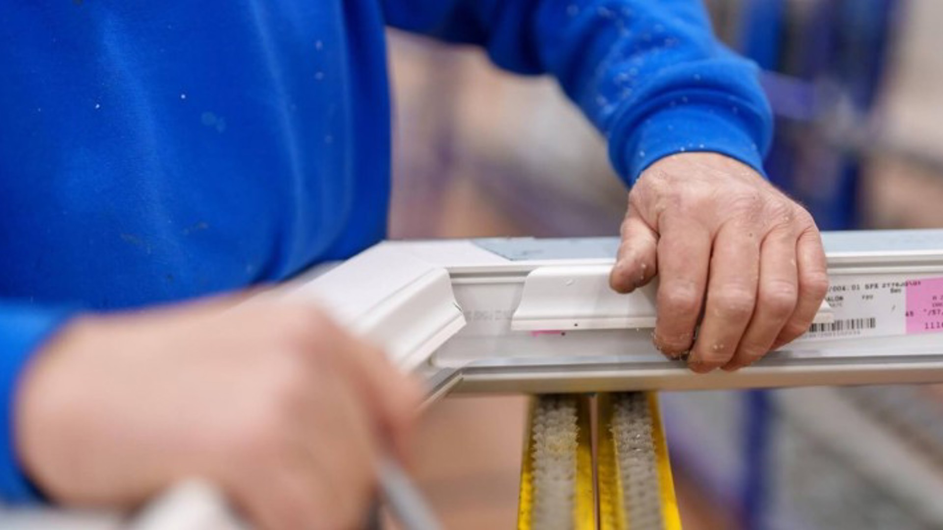 False ?  : Tryba Photo 5