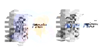 sodalis foto 1.jpeg