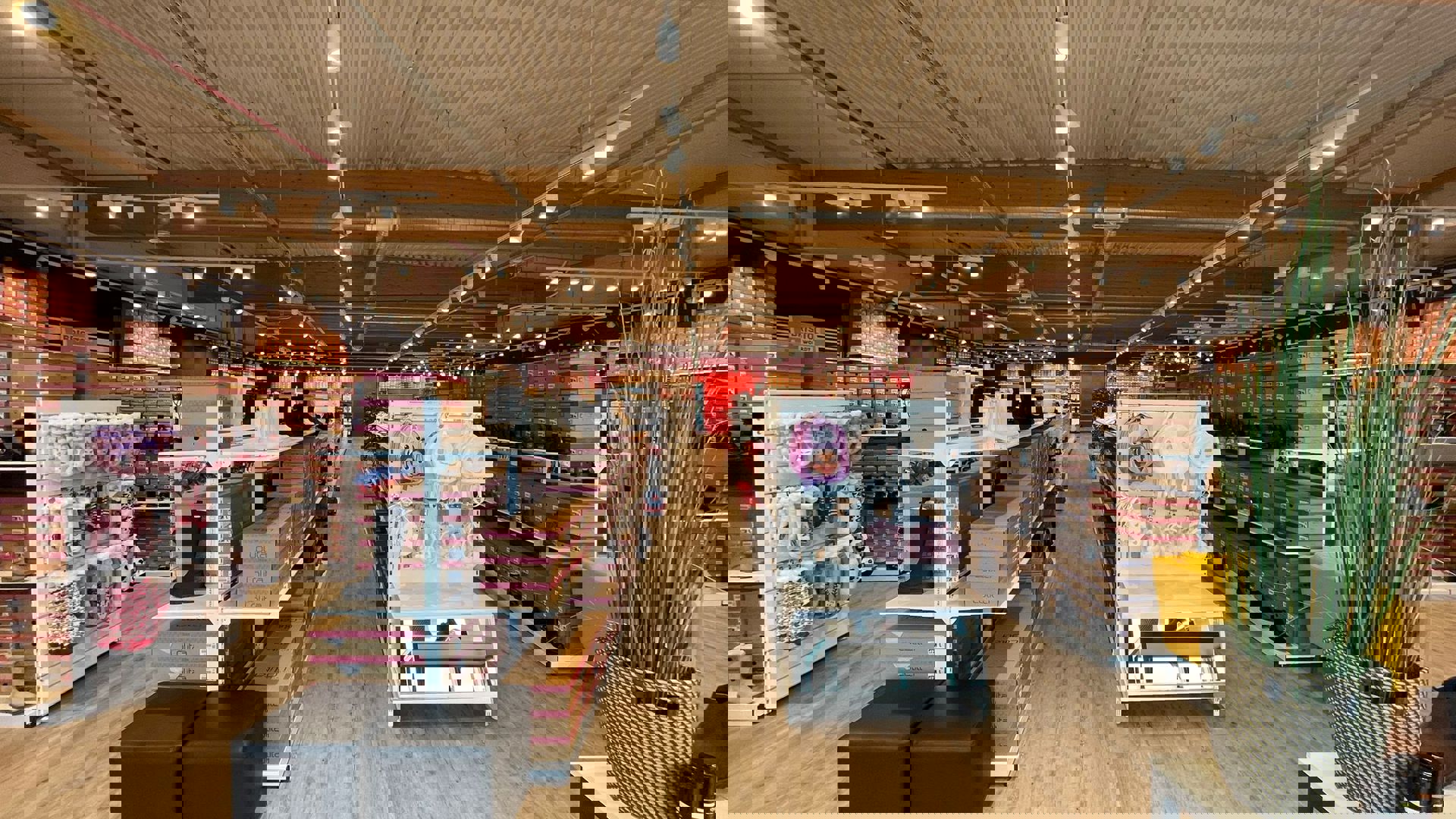False ?  : Chaussea Photo 4