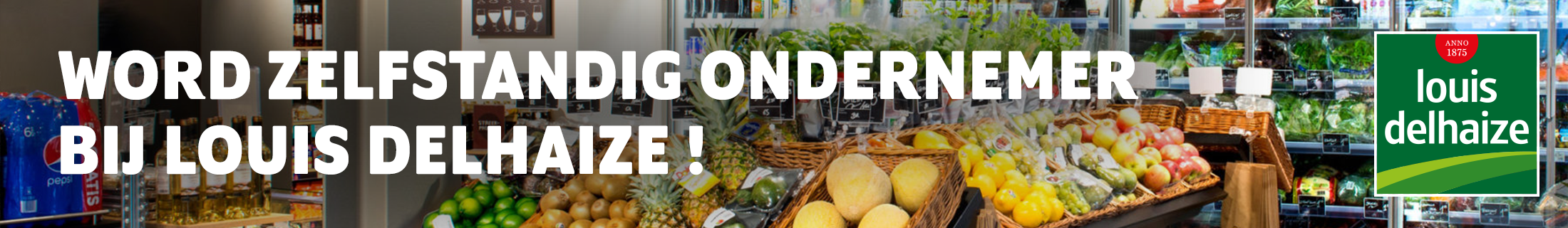 LD Website Banner NL