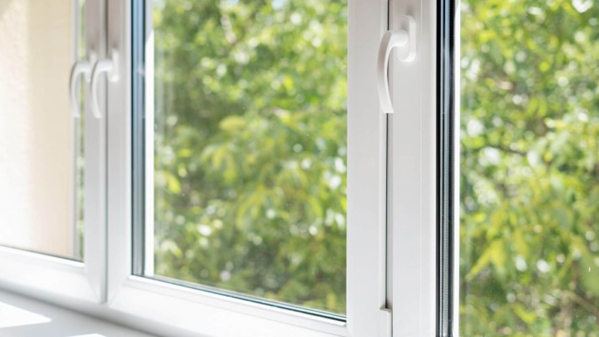 False ?  : Tryba Photo 4