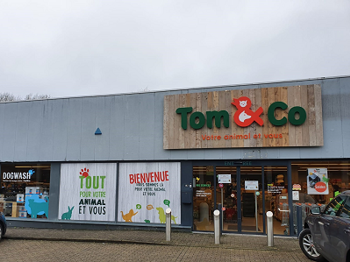 tom co bultia remodeling 01 2020 21bis.png