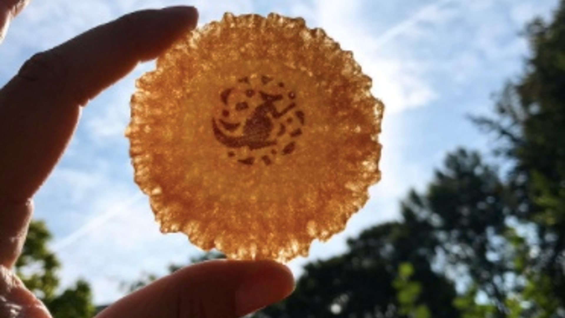 True ? 4fa085af-6e05-43d2-a777-db4c4a6b5a26 : 4fa085af 6e05 43d2 a777 db4c4a6b5a26.png